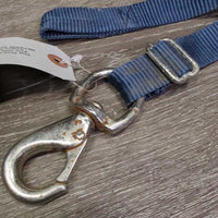 Adjustable Nylon Web Bucket Strap, loop, snap *gc, rust, mnr dirt, rubs, frays, folded & curled
