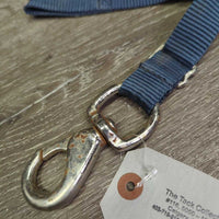 Adjustable Nylon Web Bucket Strap, loop, snap *gc, rust, mnr dirt, rubs, frays, folded & curled
