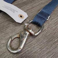 Adjustable Nylon Web Bucket Strap, loop, snap *gc, rust, mnr dirt, rubs, frays, folded & curled

