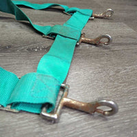 Nylon Web Open Stall Guard *gc/fair, clean, stains, v.rusty, stuck snaps
