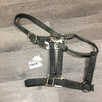 Stiff Nylon Halter, snap *fair, older, dirt, residue, faded, rust/oxidization, snags, frays
