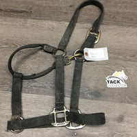Stiff Nylon Halter, snap *fair, older, dirt, residue, faded, rust/oxidization, snags, frays