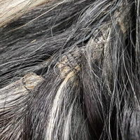 11 section Thick Horse Tail, Grommet Top, Black Tough 1 Bag *xc, cleam
