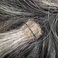 11 section Thick Horse Tail, Grommet Top, Black Tough 1 Bag *xc, cleam
