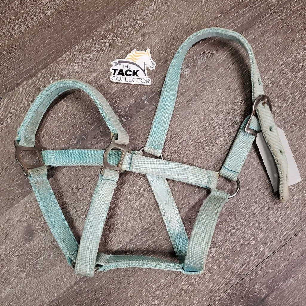 Thick Nylon Halter *gc, faded, clean, stains, stiff, rust