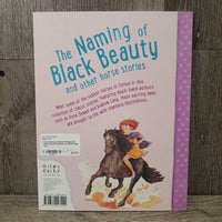 The Naming of Black Beauty & Other Horse Stories by Miles Kelly *xc