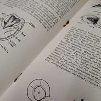 Horseman's Veterinary Guide *fair, wavy, stains, rubs, scrapes, torn pages
