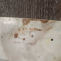 Farnam Riding the Show-Ring Hunter *fair, v.stained, warped, edge rubs & bends
