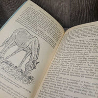 Top Form Book of Horse Care by Frederick Harper *gc, yellowed, torn & rubbed edges & corners, inscribed
