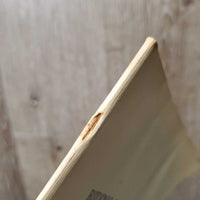 Riding to Hounds in America by William Wadsworth *gc, stains, bent corner