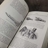 Illustrated Horse Management by Dr Edward Mayhew *vgc, bent & folded corners, edge rubs, scrapes, mnr dirt & stains
