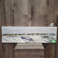 Running Horses in Snow Photo - Print by Kay? *gc, hairy, stains