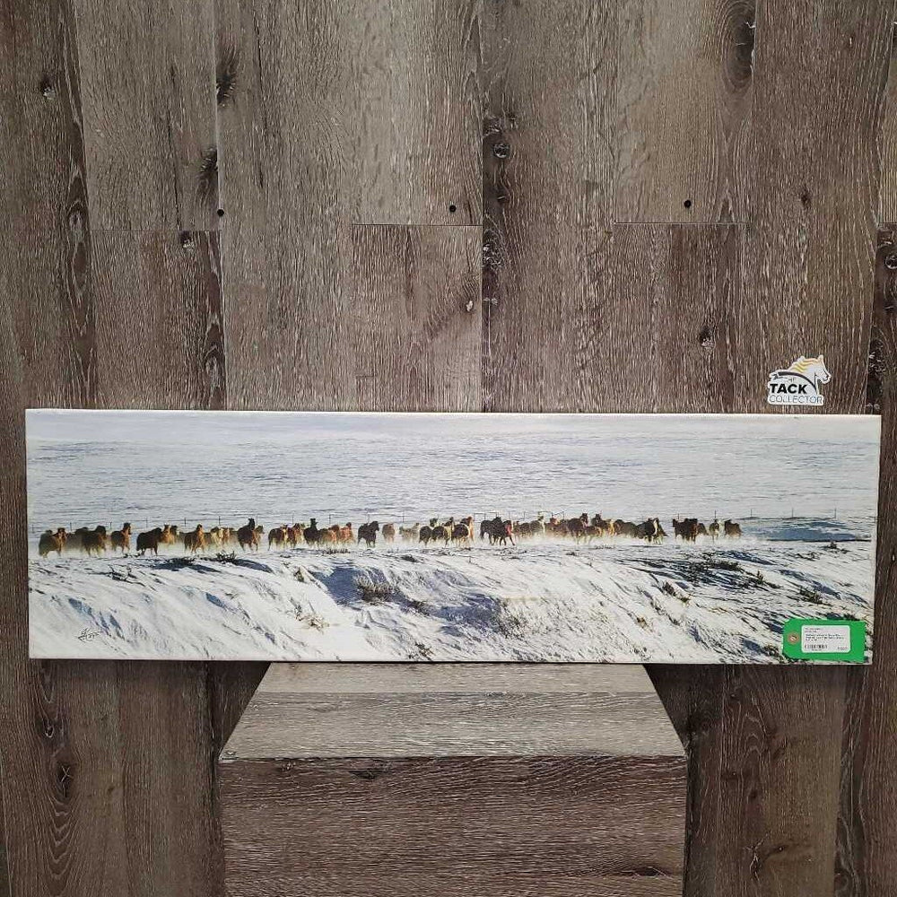 Running Horses in Snow Photo - Print by Kay? *gc, hairy, stains