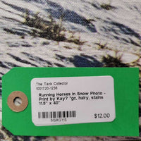 Running Horses in Snow Photo - Print by Kay? *gc, hairy, stains
