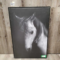 Grey Horse Photo - Print, Mounted Canvas *gc/fair, scratches, dings, scrapes
