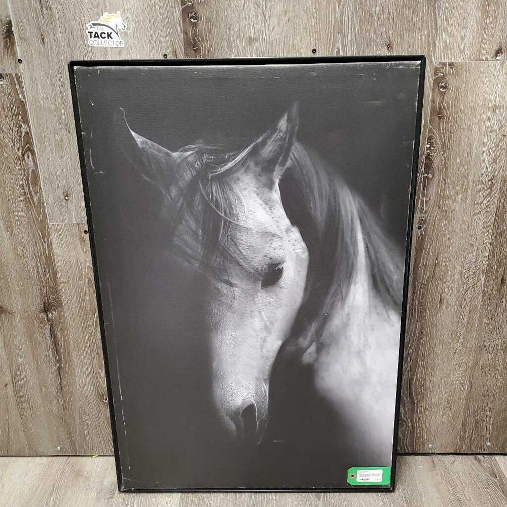 Grey Horse Photo - Print, Mounted Canvas *gc/fair, scratches, dings, scrapes