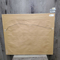 Palomino Horse Photo - Print, Wood Frame *vgc, chipped corner, scratches
