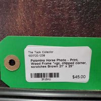 Palomino Horse Photo - Print, Wood Frame *vgc, chipped corner, scratches