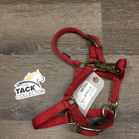 Nylon Halter, adj, snap *vgc, rubs