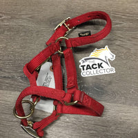 Nylon Halter, adj, snap *vgc, rubs
