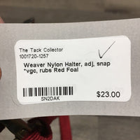 Nylon Halter, adj, snap *vgc, rubs