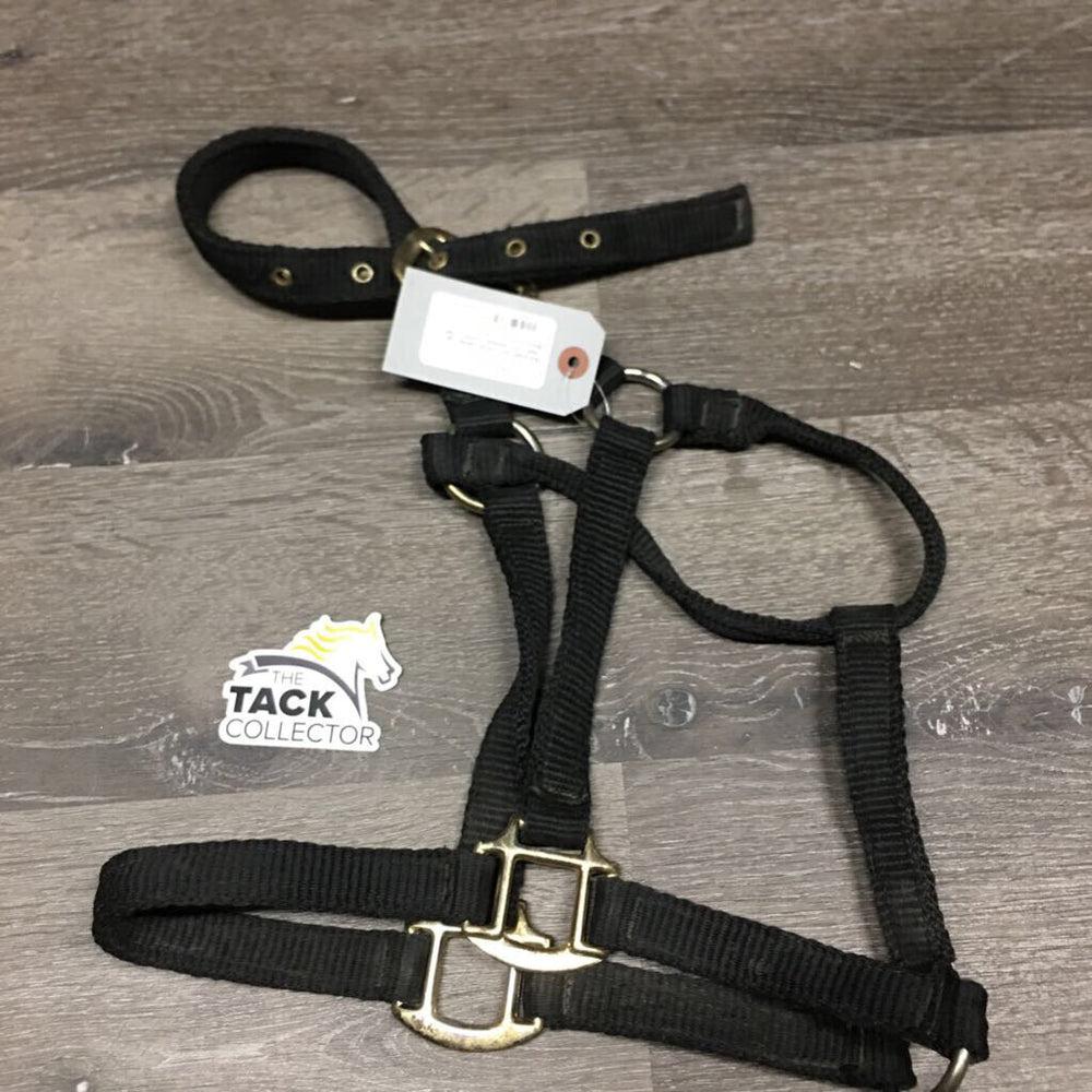 Soft Nylon Halter *gc, clean, mnr residue, puckers, hair