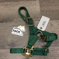 Nylon Halter, snap *vgc, oxidization
