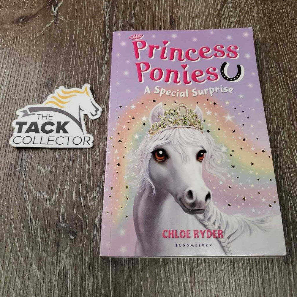 Princess Ponies: A Special Surprise *vgc, mnr bent corners & edges