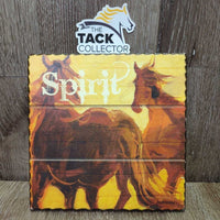 "Spirit" 2 Horses Painting on Wood by Diane Whitehead *vgc, ding/dent, mnr scratches
