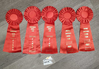 Red Horse Show Ribbon *vgc, inscribed, curled eges
