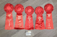 Red Horse Show Ribbon *vgc, inscribed, curled eges
