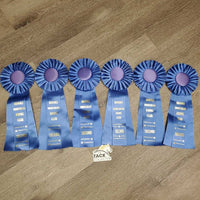 Blue Horse Show Ribbon *vgc, inscribed, curled eges
