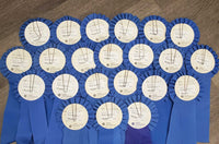 Blue Horse Show Ribbon *vgc, inscribed, curled eges
