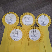 Yellow Horse Show Ribbon *vgc, inscribed, curled eges