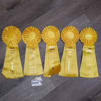 Yellow Horse Show Ribbon *vgc, inscribed, curled eges
