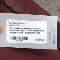Euro Seat Breeches *vgc/xc, mnr meesh rubs, snags & pills

