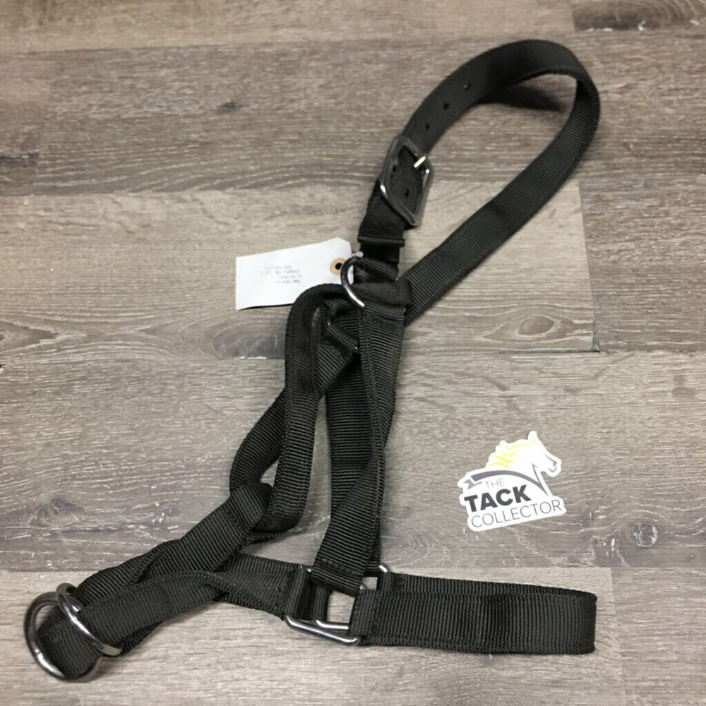 Nylon Slip Nose Halter *xc/vgc, mnr dirt
