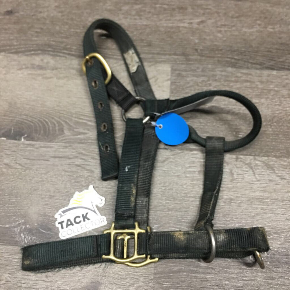 Stiff Nylon Slip Nose Halter *gc, older, dirt, faded, stained, frays