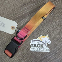 Light Nylon Dog Collar *Vgc, mnr stains & dirt
