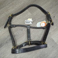 Leather Halter, snap, adj *vgc/xc, dirty, film, rubs, v.stiff, scraped edges
