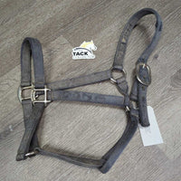 Thick Nylon Halter *gc/fair, dirty, threads, hair, faded, stains, snags, rubs, edges & holes: frays
