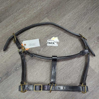 Leather Halter, snap, adj *vgc/xc, dirty, film, rubs, v.stiff
