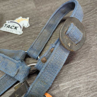 Stiff Nylon Halter, Slip Nose, spring snap *fair, crusty, stiff, faded, v.hairy, frays, rust, threads, older
