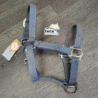 Stiff Nylon Halter, Slip Nose, spring snap *fair, crusty, stiff, faded, v.hairy, frays, rust, threads, older
