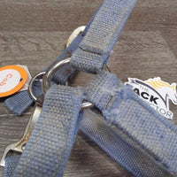 Stiff Nylon Halter, Slip Nose, spring snap *fair, crusty, stiff, faded, v.hairy, frays, rust, threads, older
