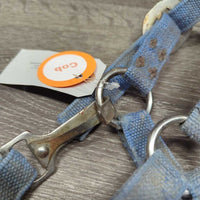 Stiff Nylon Halter, Slip Nose, spring snap *fair, crusty, stiff, faded, v.hairy, frays, rust, threads, older

