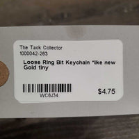 Loose Ring Bit Keychain *like new
