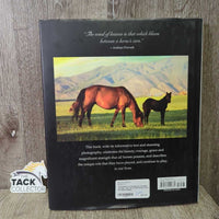 A Passion for Horses by Caroline Lemay *vgc, mnr inside stains, bent & rubbed edges
