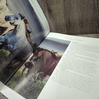 A Passion for Horses by Caroline Lemay *vgc, mnr inside stains, bent & rubbed edges
