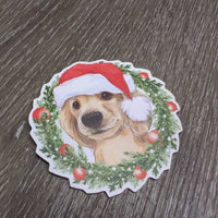Christmas Dog Magnet *like new

